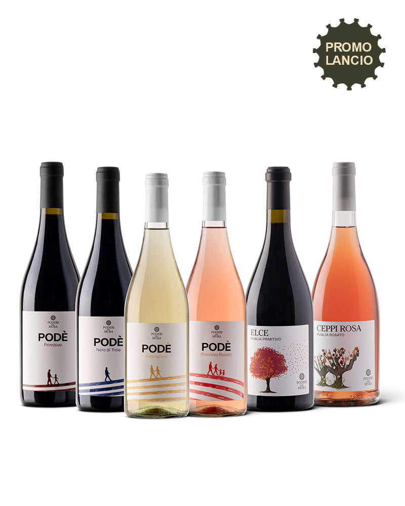 Box Degustazione Racconti di Vigna Immagine principale del prodotto
