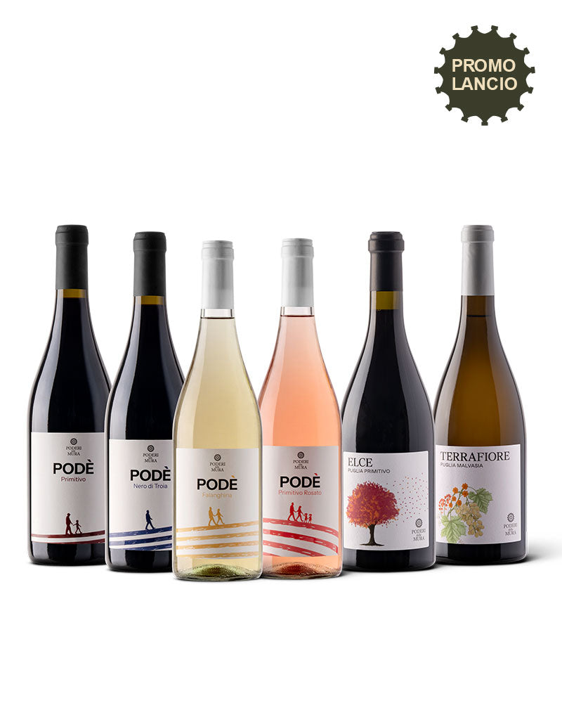 Box Degustazione Terre di Murgia Immagine principale del prodotto