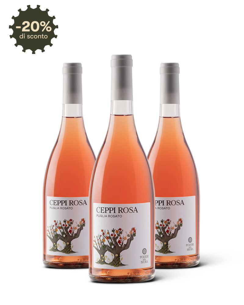 Box 3 Bottiglie CEPPI ROSA - Vino Rosato di Primitivo e Aleatico Puglia IGP 2024 Immagine principale del prodotto