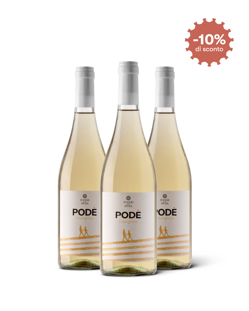 Box 3 bottiglie <b>PODÈ</b> – Vino Bianco Falanghina Puglia IGP 2025 Immagine principale del prodotto