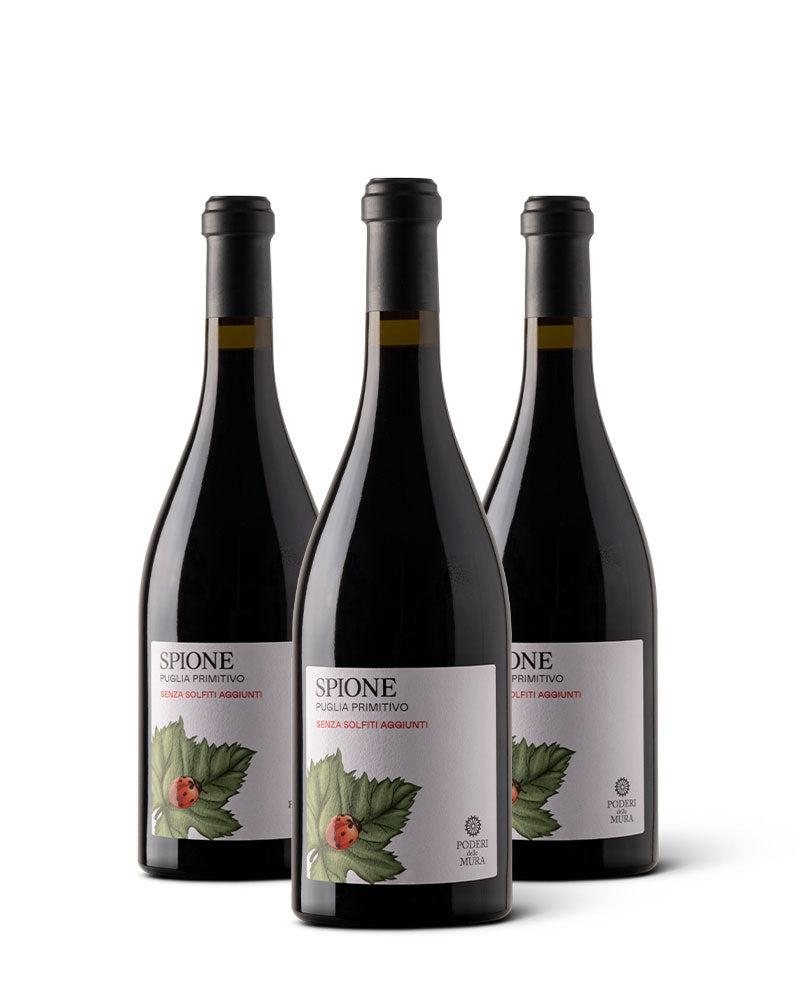 Box 3 Bottiglie SPIONE - Vino Rosso Primitivo Puglia IGP 2022 (senza solfiti aggiunti) Immagine principale del prodotto