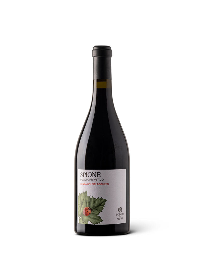 SPIONE - Vino Rosso Primitivo Puglia IGP 2022 Immagine principale del prodotto
