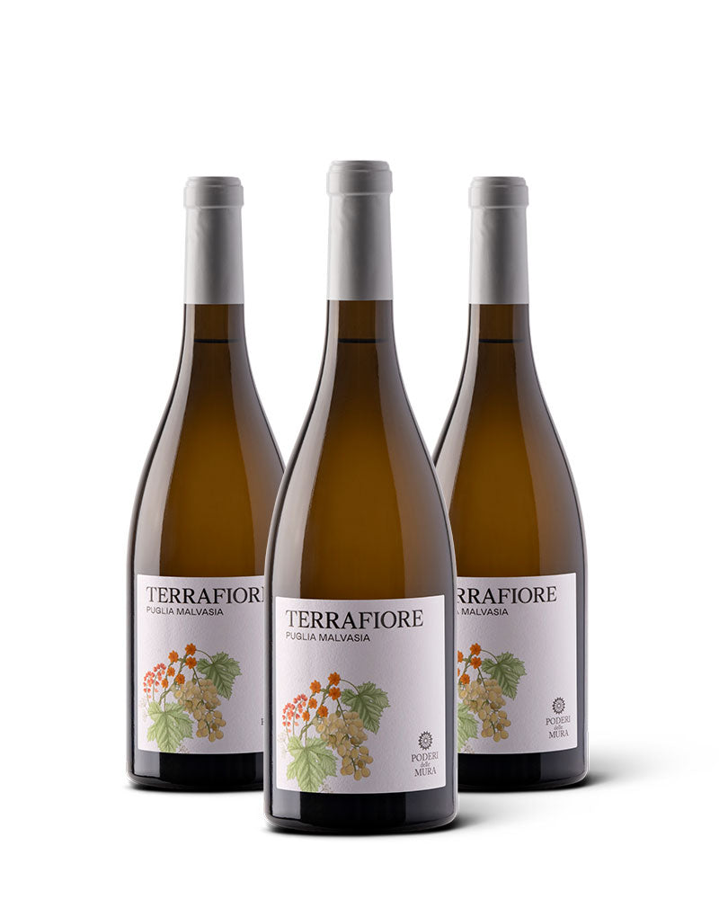 Box 3 Bottiglie TERRAFIORE - Vino Bianco Malvasia Puglia IGP 2023 Immagine principale del prodotto