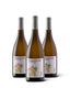 Box 3 Bottiglie TERRAFIORE - Vino Bianco Malvasia Puglia IGP 2025