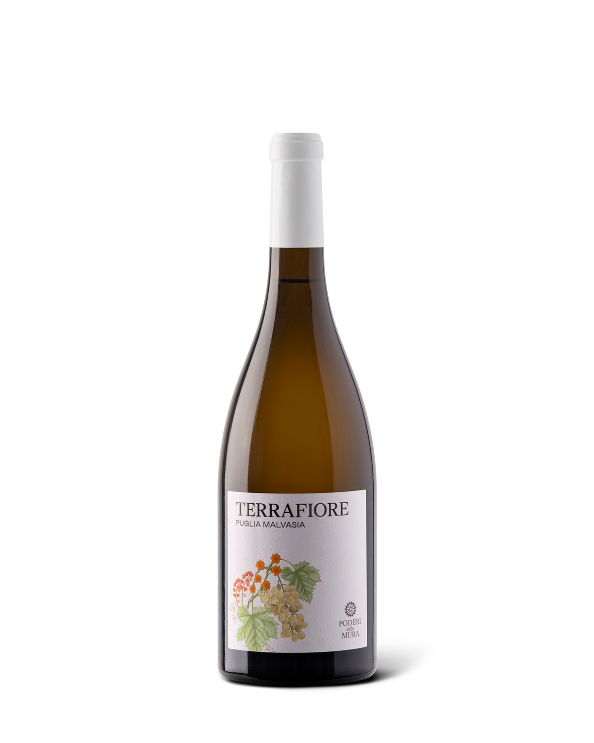 TERRAFIORE - Malvasia Puglia IGP 2025 Immagine principale del prodotto